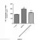 Fig. 14 - Baclofen and acamprosate based therapy of neurological disorders