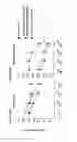 Fig. 23 - Baclofen and acamprosate based therapy of neurological disorders