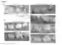 Fig. 03 - Methods for increasing oral osteogenesis using lipoxin A4 (LXA4) and its analogs