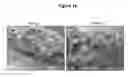 Fig. 11 - Methods and compositions for the treatment of ophalmic diseases and disorders