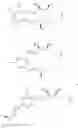 Fig. 13 - Methods and compositions for the treatment of ophalmic diseases and disorders