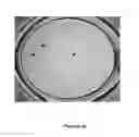 Fig. 10 - Method of Inhibiting or Treating a Dengue Virus Infection with Quercetin