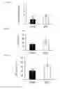 Fig. 08 - IMPROVING COGNITIVE FUNCTION