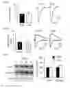 Fig. 22 - IMPROVING COGNITIVE FUNCTION