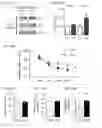 Fig. 41 - IMPROVING COGNITIVE FUNCTION