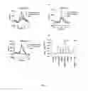 Fig. 06 - COMPOUNDS AS MODULATORS OF A MUTANT CFTR PROTEIN AND THEIR USE FOR TREATING DISEASES ASSOCIATED WITH CFTR PROTEIN MALFUNCTION