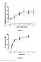 Fig. 07 - Drug combination of PDE3/PDE4 inhibitor and muscarinic receptor antagonist