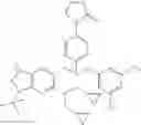 Fig. 165 - PHARMACEUTICAL COMPOSITIONS OF CETP INHIBITORS