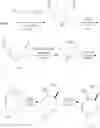 Fig. 482 - Azepane derivatives and methods of treating hepatitis B infections