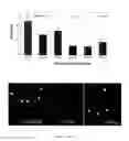 Fig. 06 - Compositions and methods for treating carbon monoxide and/or cyanide poisoning