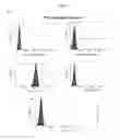 Fig. 03 - HUMAN UTERINE CERVICAL STEM CELL POPULATION AND USES THEREOF