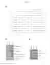 Fig. 17 - HUMAN UTERINE CERVICAL STEM CELL POPULATION AND USES THEREOF