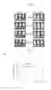 Fig. 19 - HUMAN UTERINE CERVICAL STEM CELL POPULATION AND USES THEREOF
