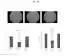 Fig. 24 - HUMAN UTERINE CERVICAL STEM CELL POPULATION AND USES THEREOF