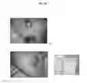Fig. 26 - HUMAN UTERINE CERVICAL STEM CELL POPULATION AND USES THEREOF