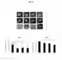 Fig. 27 - HUMAN UTERINE CERVICAL STEM CELL POPULATION AND USES THEREOF