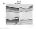 Fig. 28 - HUMAN UTERINE CERVICAL STEM CELL POPULATION AND USES THEREOF