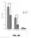 Fig. 08 - COMPOSITIONS AND METHODS TO ALTER GUT MICROBIAL FERMENTATION USING SULFATE-REDUCING BACTERIA