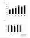 Fig. 02 - A COMPOSITION FOR IMPROVING JOINT HEALTH, OR FOR PREVENTING AND TREATING RHEUMATOID ARTHRITIS AND OSTEOARTHRITIS