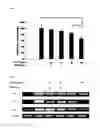 Fig. 03 - A COMPOSITION FOR IMPROVING JOINT HEALTH, OR FOR PREVENTING AND TREATING RHEUMATOID ARTHRITIS AND OSTEOARTHRITIS