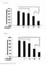 Fig. 04 - A COMPOSITION FOR IMPROVING JOINT HEALTH, OR FOR PREVENTING AND TREATING RHEUMATOID ARTHRITIS AND OSTEOARTHRITIS
