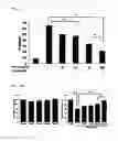 Fig. 07 - A COMPOSITION FOR IMPROVING JOINT HEALTH, OR FOR PREVENTING AND TREATING RHEUMATOID ARTHRITIS AND OSTEOARTHRITIS