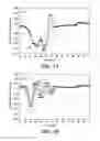Fig. 02 - Treatment of DNA damage and mitochondrial dysfunction using palm fruit juice