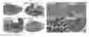 Fig. 01 - Use of PEDF-derived polypeptides for promoting muscle or tendon regeneration or arteriogenesis