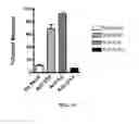 Fig. 32 - RECEPTOR-TARGETING REAGENTS