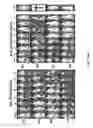 Fig. 35 - RECEPTOR-TARGETING REAGENTS