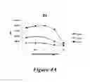 Fig. 08 - Compositions and methods for modulating gamma-C-cytokine activity