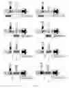 Fig. 06 - Hyperbaric device and methods for producing inactivated vaccines and for refolding/solubilizing recombinant proteins