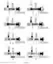 Fig. 07 - Hyperbaric device and methods for producing inactivated vaccines and for refolding/solubilizing recombinant proteins