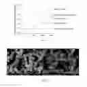 Fig. 22 - Hyperbaric device and methods for producing inactivated vaccines and for refolding/solubilizing recombinant proteins
