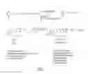 Fig. 02 - Synthetic conjugate of CpG DNA and T-help/CTL peptide