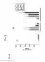 Fig. 05 - Neoseptins: small molecule adjuvants