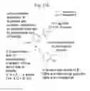 Fig. 16 - Neoseptins: small molecule adjuvants