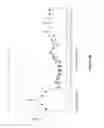 Fig. 09 - CENTRAL ADMINISTRATION OF STABLE FORMULATIONS OF THERAPEUTIC AGENTS FOR CNS CONDITIONS