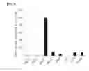Fig. 03 - Methods and compositions for targeting adipose cells in mammals