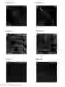 Fig. 08 - Methods and compositions for targeting adipose cells in mammals