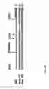 Fig. 10 - Methods and compositions for targeting adipose cells in mammals