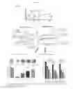 Fig. 02 - BIOMARKERS FOR INFLAMMATORY DISEASE AND METHODS OF USING SAME