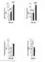 Fig. 115 - Methods for evaluating brain-wide paravascular pathway for waste clearance function and methods for treating neurodegenerative disorders based thereon