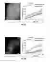 Fig. 17 - Methods for evaluating brain-wide paravascular pathway for waste clearance function and methods for treating neurodegenerative disorders based thereon