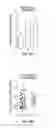 Fig. 24 - Methods for evaluating brain-wide paravascular pathway for waste clearance function and methods for treating neurodegenerative disorders based thereon