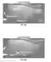 Fig. 31 - Methods for evaluating brain-wide paravascular pathway for waste clearance function and methods for treating neurodegenerative disorders based thereon