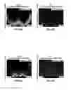 Fig. 53 - Methods for evaluating brain-wide paravascular pathway for waste clearance function and methods for treating neurodegenerative disorders based thereon