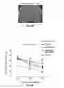 Fig. 55 - Methods for evaluating brain-wide paravascular pathway for waste clearance function and methods for treating neurodegenerative disorders based thereon