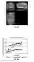 Fig. 65 - Methods for evaluating brain-wide paravascular pathway for waste clearance function and methods for treating neurodegenerative disorders based thereon
