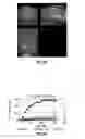 Fig. 67 - Methods for evaluating brain-wide paravascular pathway for waste clearance function and methods for treating neurodegenerative disorders based thereon